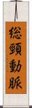 総頸動脈 Scroll