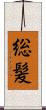 総髪 Scroll