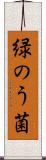 緑のう菌 Scroll