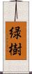 緑樹 Scroll