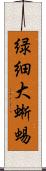 緑細大蜥蜴 Scroll