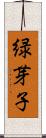 緑芽子 Scroll