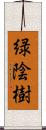 緑陰樹 Scroll