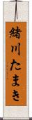 緒川たまき Scroll