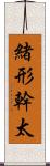 緒形幹太 Scroll