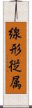 線形従属 Scroll
