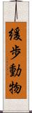 緩歩動物 Scroll