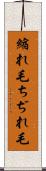 縮れ毛 Scroll