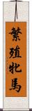 繁殖牝馬 Scroll