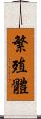 繁殖體 Scroll