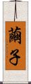 繭子 Scroll