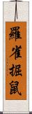 羅雀掘鼠 Scroll