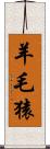 羊毛猿 Scroll