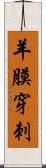 羊膜穿刺 Scroll