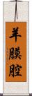 羊膜腔 Scroll