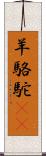 羊駱駝(rK) Scroll