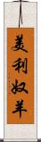 美利奴羊 Scroll