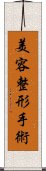 美容整形手術 Scroll