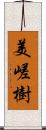 美嵯樹 Scroll