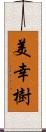 美幸樹 Scroll