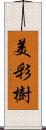 美彩樹 Scroll