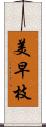 美早枝 Scroll