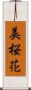 美桜花 Scroll