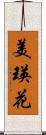 美瑛花 Scroll