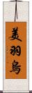 美羽烏 Scroll