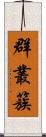 群;叢;簇 Scroll