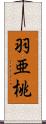 羽亜桃 Scroll