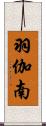 羽伽南 Scroll