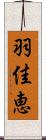 羽佳恵 Scroll