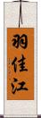 羽佳江 Scroll