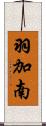 羽加南 Scroll