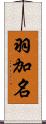 羽加名 Scroll