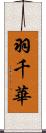 羽千華 Scroll