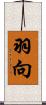 羽向 Scroll