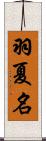 羽夏名 Scroll