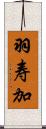 羽寿加 Scroll