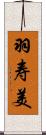 羽寿美 Scroll