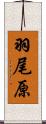 羽尾原 Scroll