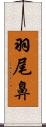 羽尾鼻 Scroll