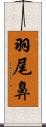 羽尾鼻 Scroll