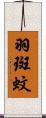 羽斑蚊 Scroll