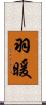 羽暖 Scroll