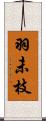 羽未枝 Scroll