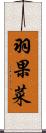 羽果菜 Scroll