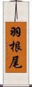 羽根尾 Scroll