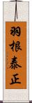 羽根泰正 Scroll